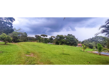 Se Vende Finca Titulada de 8.4 HAS en el Oeste