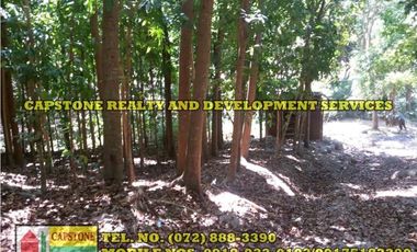 3.2 HEC LIVESTOCK FARM WITH TREES IN BACNOTAN, LA UNION