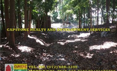 3.2 HEC LIVESTOCK FARM WITH TREES IN BACNOTAN, LA UNION