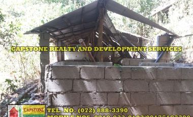 3.2 HEC LIVESTOCK FARM WITH TREES IN BACNOTAN, LA UNION
