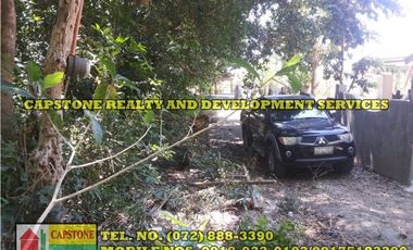 3.2 HEC LIVESTOCK FARM WITH TREES IN BACNOTAN, LA UNION