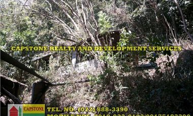 3.2 HEC LIVESTOCK FARM WITH TREES IN BACNOTAN, LA UNION