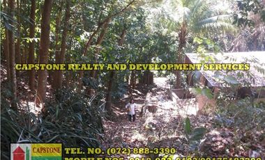 3.2 HEC LIVESTOCK FARM WITH TREES IN BACNOTAN, LA UNION