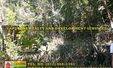 3.2 HEC LIVESTOCK FARM WITH TREES IN BACNOTAN, LA UNION