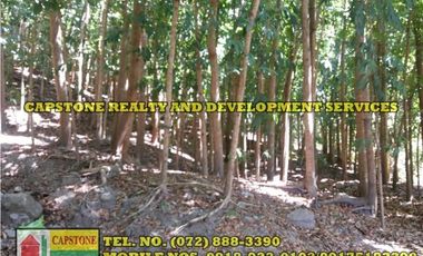 3.2 HEC LIVESTOCK FARM WITH TREES IN BACNOTAN, LA UNION