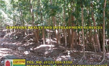 3.2 HEC LIVESTOCK FARM WITH TREES IN BACNOTAN, LA UNION