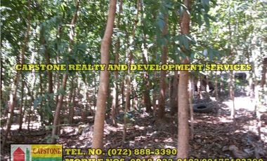 3.2 HEC LIVESTOCK FARM WITH TREES IN BACNOTAN, LA UNION