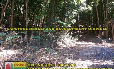 3.2 HEC LIVESTOCK FARM WITH TREES IN BACNOTAN, LA UNION