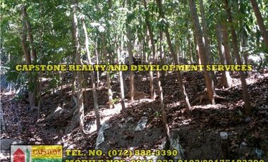 3.2 HEC LIVESTOCK FARM WITH TREES IN BACNOTAN, LA UNION