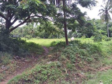 8,236sqm Commercial Land along Main Road in Rosario Batangas