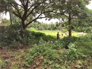 8,236sqm Commercial Land along Main Road in Rosario Batangas