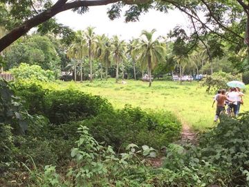8,236sqm Commercial Land along Main Road in Rosario Batangas