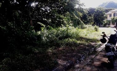 197 SQM CORNER LOT for Sale in GREENWOODS SUBDIVISION near Talamban Cebu City