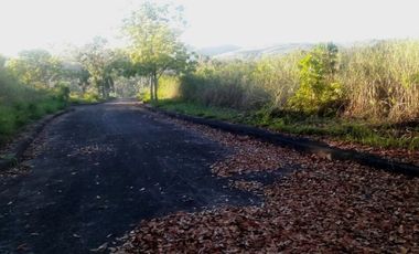 172 Sqm Residential Lot for Sale in El Monte Verde Consolacion Cebu