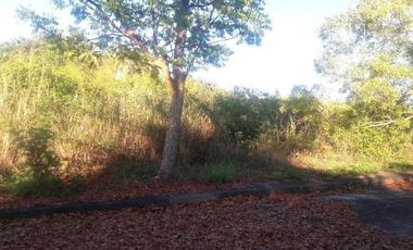 172 Sqm Residential Lot for Sale in El Monte Verde Consolacion Cebu