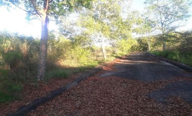 172 Sqm Residential Lot for Sale in El Monte Verde Consolacion Cebu