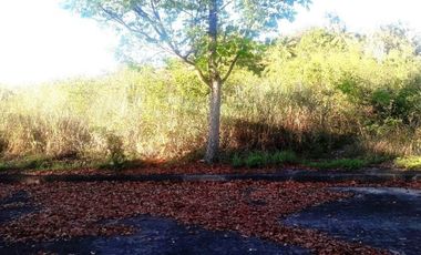 172 Sqm Residential Lot for Sale in El Monte Verde Consolacion Cebu