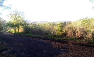 172 Sqm Residential Lot for Sale in El Monte Verde Consolacion Cebu