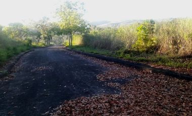 172 Sqm Residential Lot for Sale in El Monte Verde Consolacion Cebu