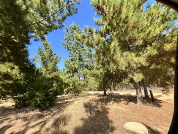 Parcela en Venta en Loteo Alto Boyeruca, Comuna de Vichuquén