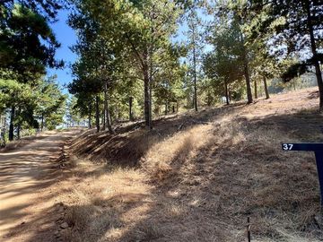 Parcela en Venta en Loteo Alto Boyeruca, Comuna de Vichuquén