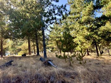 Parcela en Venta en Loteo Alto Boyeruca, Comuna de Vichuquén