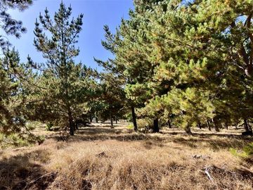 Parcela en Venta en Loteo Alto Boyeruca, Comuna de Vichuquén