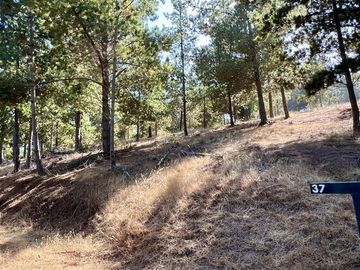 Parcela en Venta en Loteo Alto Boyeruca, Comuna de Vichuquén