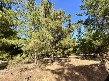Parcela en Venta en Loteo Alto Boyeruca, Comuna de Vichuquén