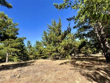 Parcela en Venta en Loteo Alto Boyeruca, Comuna de Vichuquén
