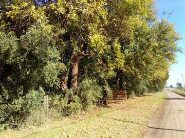8 Hectareas en Gral. Madariaga