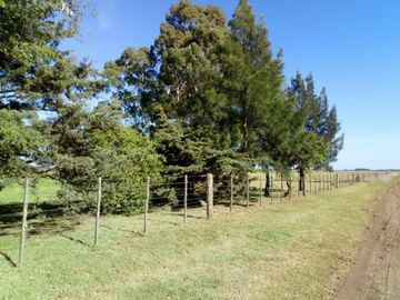 8 Hectareas en Gral. Madariaga