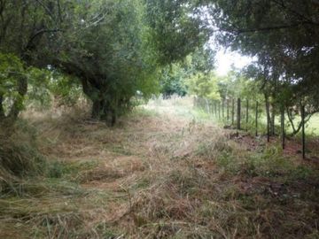8 Hectareas en Gral. Madariaga