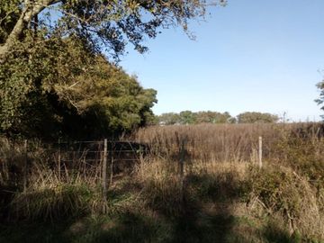 8 Hectareas en Gral. Madariaga