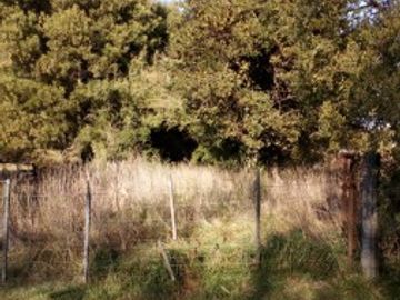 8 Hectareas en Gral. Madariaga
