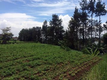 Kavling di Setiabudi Regency Dekat Ledeng & Geger Kalong
