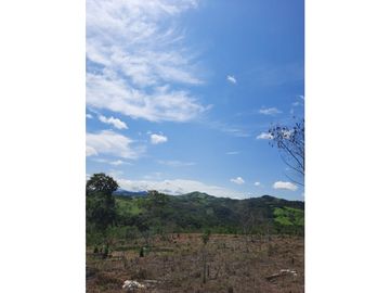 Fincas con Piscina en las afueras de Tarapoto