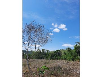 Fincas con Piscina en las afueras de Tarapoto