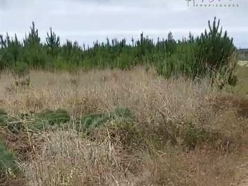 Parcela plana en venta en Alto Colorado - Pichilemu