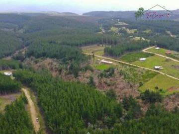 Parcela plana en venta en Alto Colorado - Pichilemu