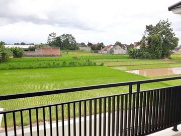 Rumah Mewah Purwomartani View Sawah Sejuk dan Asri