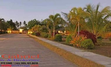 Cebu Beach Lot for installment sale