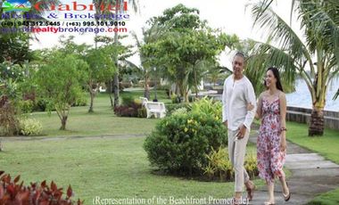 Cebu Beach Lot for installment sale