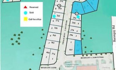 Cebu Beach Lot for installment sale