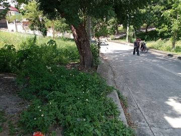 164 Sqm Residential Lot for Sale in Lamac Consolacion Cebu