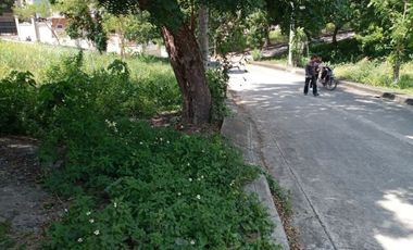 164 Sqm Residential Lot for Sale in Lamac Consolacion Cebu