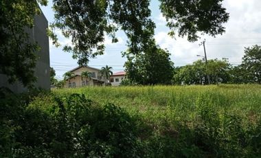 164 Sqm Residential Lot for Sale in Lamac Consolacion Cebu