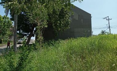 164 Sqm Residential Lot for Sale in Lamac Consolacion Cebu