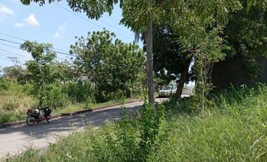 164 Sqm Residential Lot for Sale in Lamac Consolacion Cebu