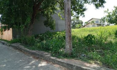 164 Sqm Residential Lot for Sale in Lamac Consolacion Cebu